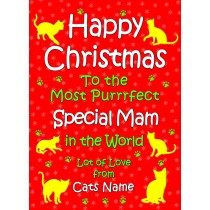 Personalised From The Cat Christmas Card (Special Mam, Red)
