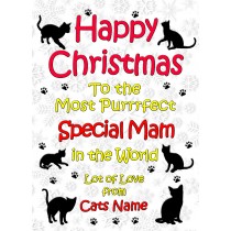 Personalised From The Cat Christmas Card (Special Mam, White)