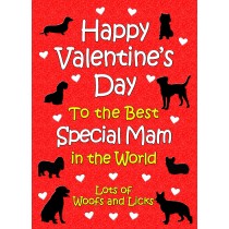 From The Dog Valentines Day Card (Special Mam)