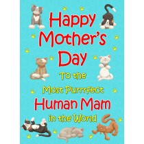 From The Cat Mothers Day Card (Turquoise, Purrrfect Human Mam)