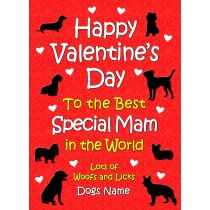 Personalised From The Dog Valentines Day Card (Special Mam)