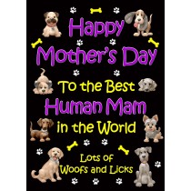 From The Dog Happy Mothers Day Card (Black, Human Mam)