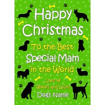 Personalised From The Dog Christmas Card (Special Mam, Green)