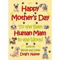 Personalised From The Dog Happy Mothers Day Card (Yellow, Human Mam)