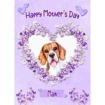 Beagle Dog Mothers Day Card (Happy Mothers, Mam)