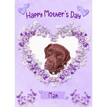 Chocolate Labrador Dog Mothers Day Card (Happy Mothers, Mam)