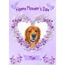 Golden Retriever Dog Mothers Day Card (Happy Mothers, Mam)