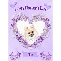 Pomeranian Dog Mothers Day Card (Happy Mothers, Mam)