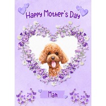 Poodle Dog Mothers Day Card (Happy Mothers, Mam)