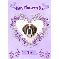 St Bernard Dog Mothers Day Card (Happy Mothers, Mam)