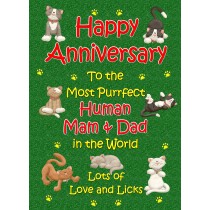 From The Cat Anniversary Card (Purrfect Mam and Dad)