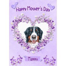 Bernese Mountain Dog Mothers Day Card (Happy Mothers, Mammy)