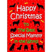 From The Dog  Christmas Card (Special Mammy, Red)