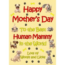 From The Dog Happy Mothers Day Card (Yellow, Human Mammy)
