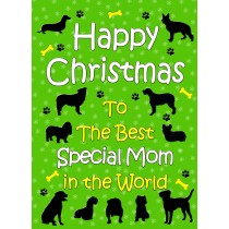 From The Dog  Christmas Card (Special Mom, Green)