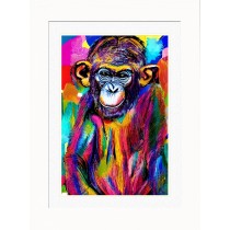 Monkey Chimpanzee Animal Picture Framed Colourful Abstract Art (30cm x 25cm White Frame)