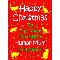 From The Cat Christmas Card (Human Mum, Red)