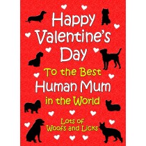 From The Dog Valentines Day Card (Human Mum)