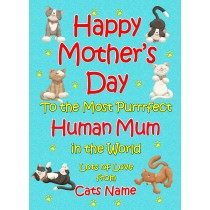 Personalised From The Cat Mothers Day Card (Turquoise, Purrrfect Human Mum)