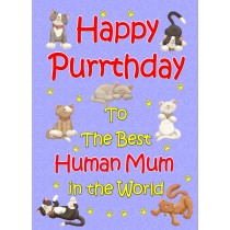 From The Cat Birthday Card (Lilac, Human Mum, Happy Purrthday)
