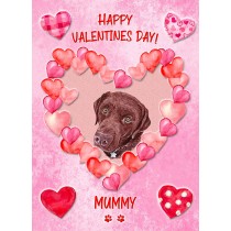 Chocolate Labrador Dog Valentines Day Card (Happy Valentines, Mummy)