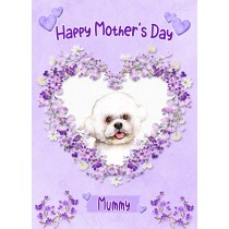 Bichon Frise Dog Mothers Day Card (Happy Mothers, Mummy)
