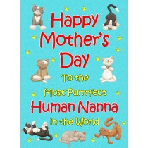 From The Cat Mothers Day Card (Turquoise, Purrrfect Human Nanna)