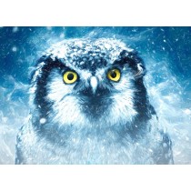 Owl Art Blank Greeting Card