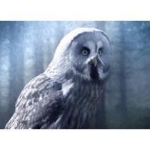 Owl Art Blank Greeting Card (Blue)