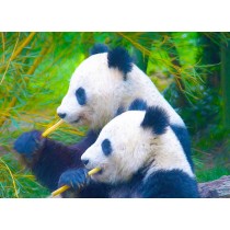 Panda Bear Art Blank Greeting Card
