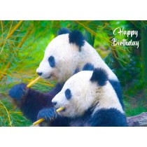 Panda Bear Art Birthday Card