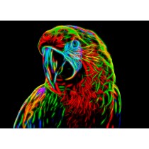 Parrot Neon Art Blank Greeting Card