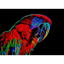 Parrot Neon Blank Greeting Card