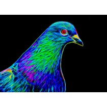 Pigeon Neon Art Blank Greeting Card