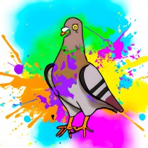 Pigeon Splash Art Cartoon Square Blank Card