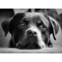 Personalised Rottweiler Black and White Greeting Card (Birthday, Christmas, Any Occasion)