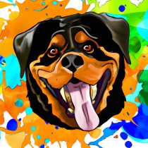 Rottweiler Dog Splash Art Cartoon Square Blank Card