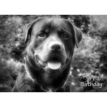 Rottweiler Black and White Art Birthday Card