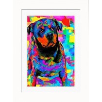 Rottweiler Dog Picture Framed Colourful Abstract Art (30cm x 25cm White Frame)
