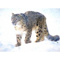 Snow Leopard Art Blank Greeting Card