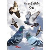 Racing Homing Pigeon Son Birthday Card