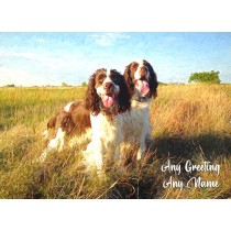Personalised Springer Spaniel Greeting Card (Birthday, Christmas, Any Occasion)
