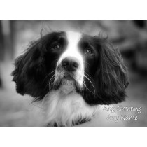 Personalised Springer Spaniel Black and White Art Greeting Card (Birthday, Christmas, Any Occasion)