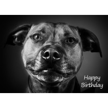 Staffordshire Bull Terrier Black and White Art Birthday Card