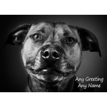 Personalised Staffordshire Bull Terrier Black and White Art Greeting Card (Birthday, Christmas, Any Occasion)