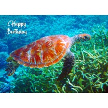 Turtle Art Birthday Card