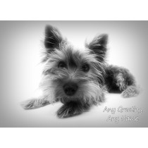 Personalised Yorkshire Terrier Black and White Art Greeting Card (Birthday, Christmas, Any Occasion)