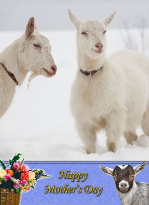 Goat Mother's Day Card