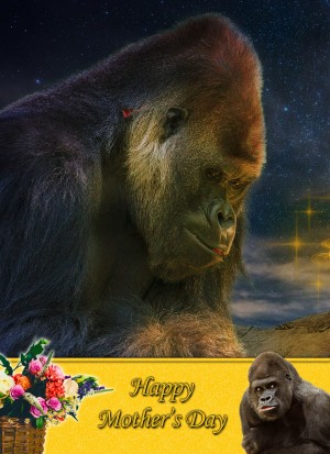 Gorilla Mother's Day Card