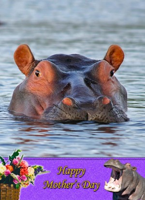 Hippo Mother's Day Card